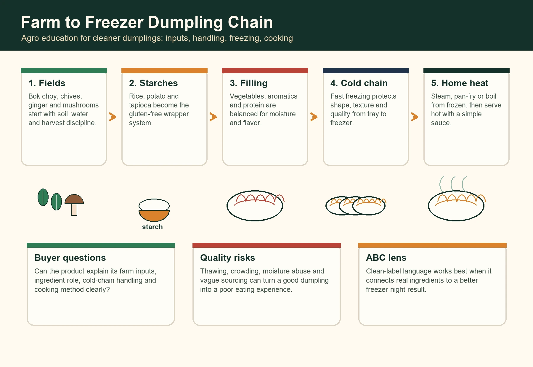 Detailed farm-to-freezer dumpling chain infographic showing fields, starches, filling, cold chain and home cooking